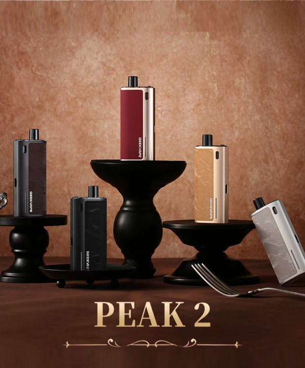 [긱베이프] 피크 2